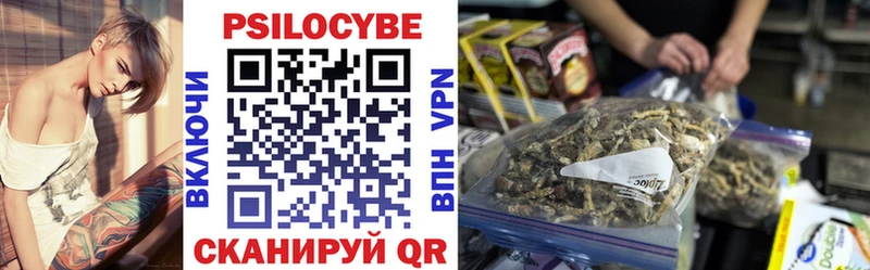 купить   Цивильск  Псилоцибиновые грибы мухоморы 